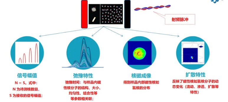 聚合物驱采收率-低场核磁技术