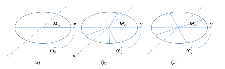 低场核磁共振横相弛豫时间与横向弛豫特性