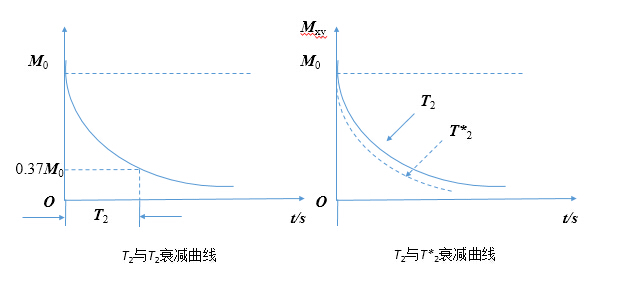 低场核磁共振横相弛豫时间与横向弛豫特性