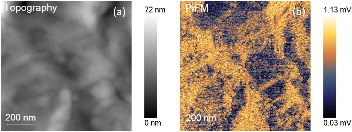 pifm-residue-chemical-map.jpg
