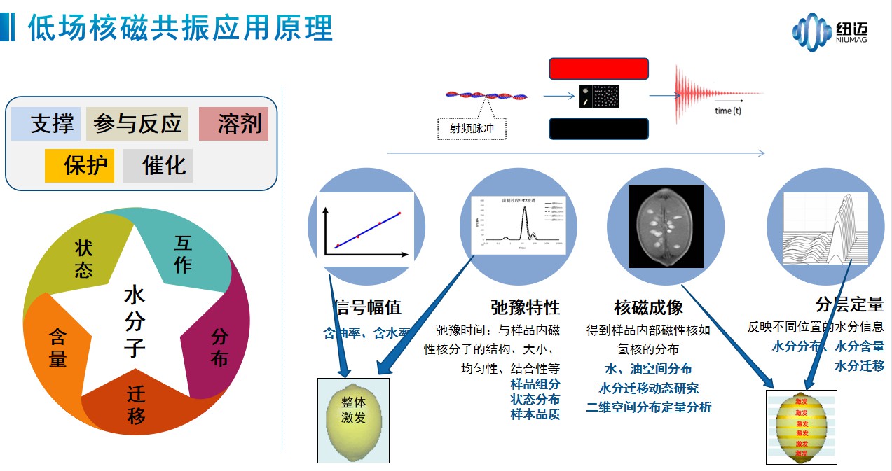 低场核磁的优势